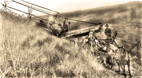 “I Was the Boy”: Part 3 Image